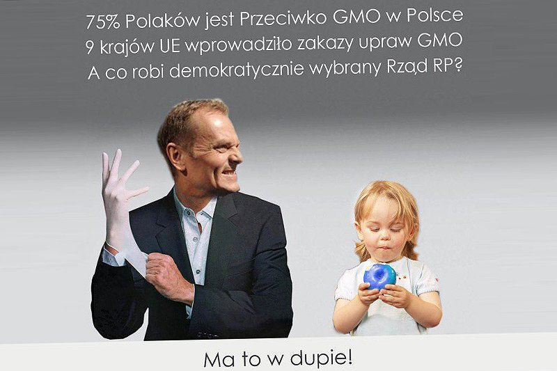 Polacy protestują w internecie przeciwko decyzji Sejmu i rządu w sprawie żywności GMO